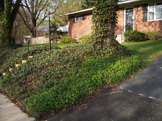 IMGP0505