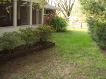 IMGP0502