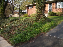 IMGP0505