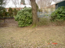 DSC00226